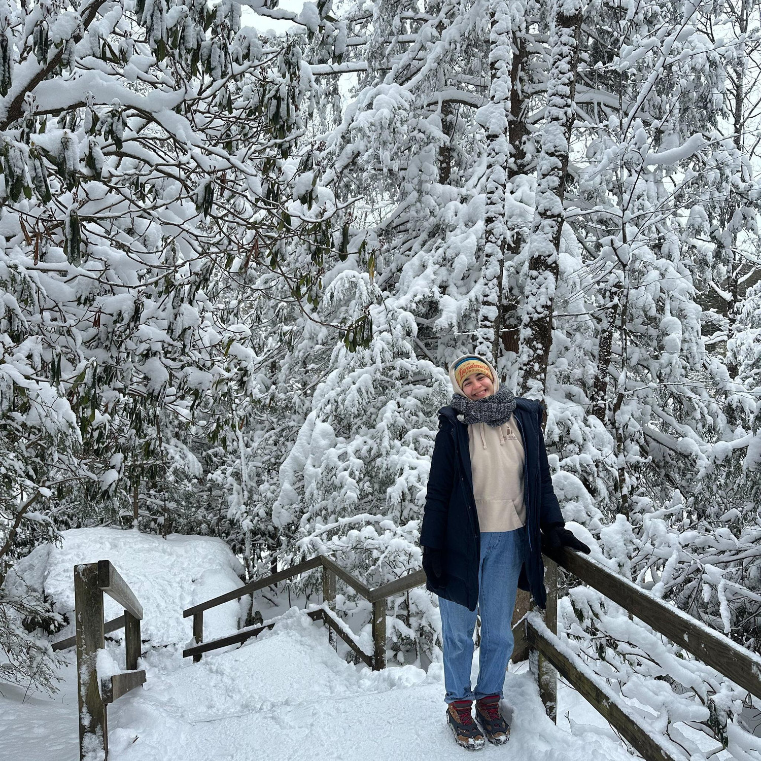 West Virginia snow!