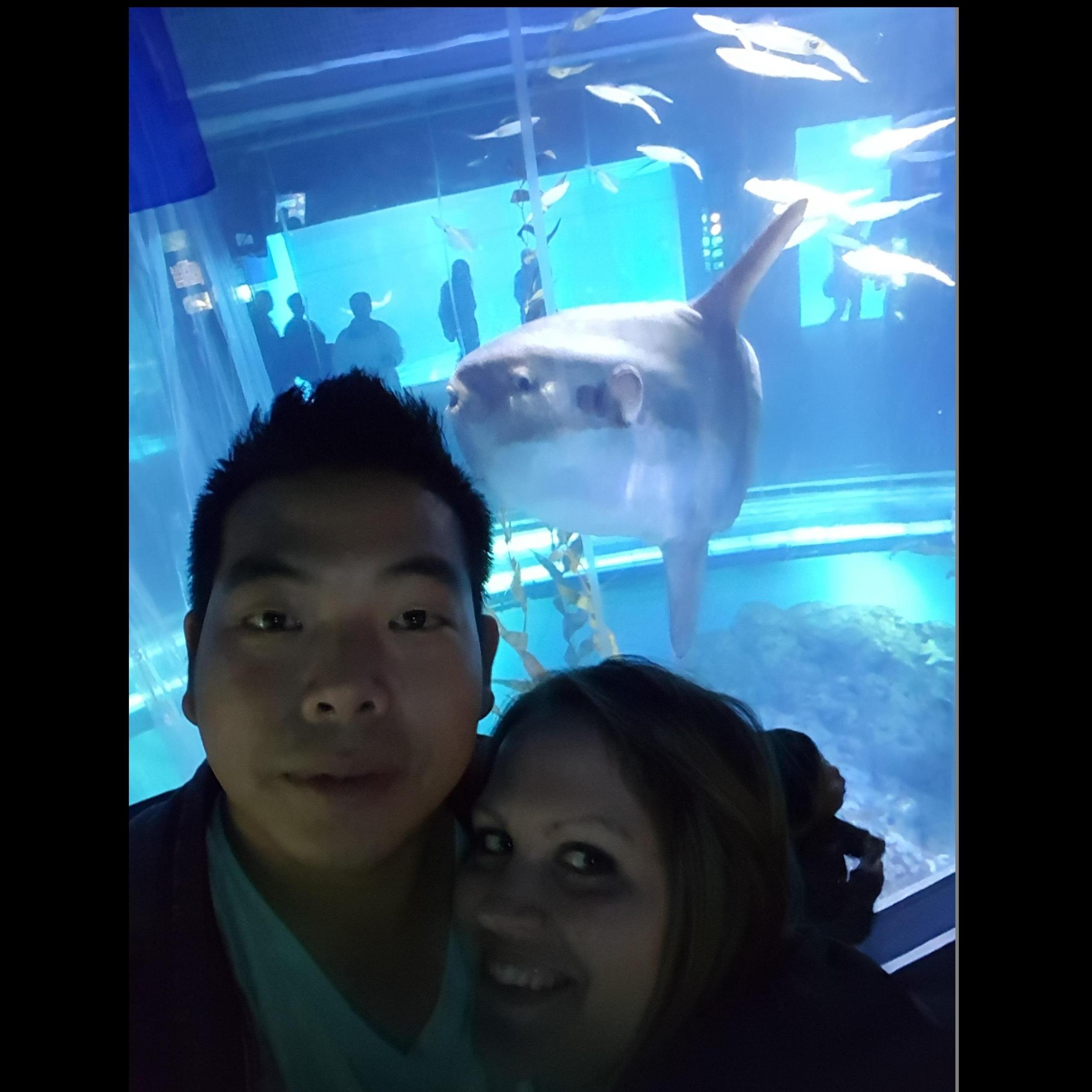 Kaiyukan Aquarium, Osaka Japan
