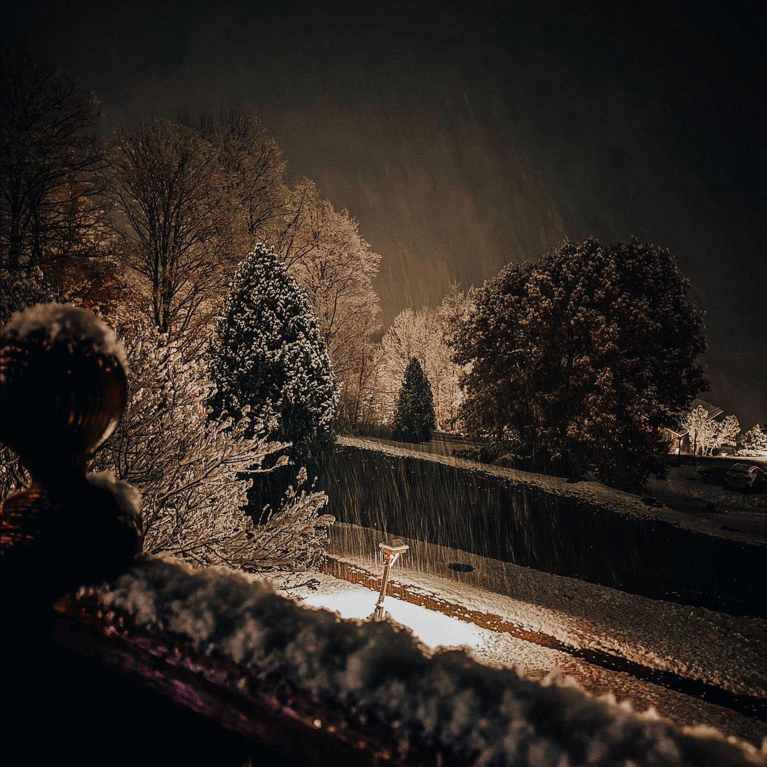 The view outside of our cabin on a snowy night.