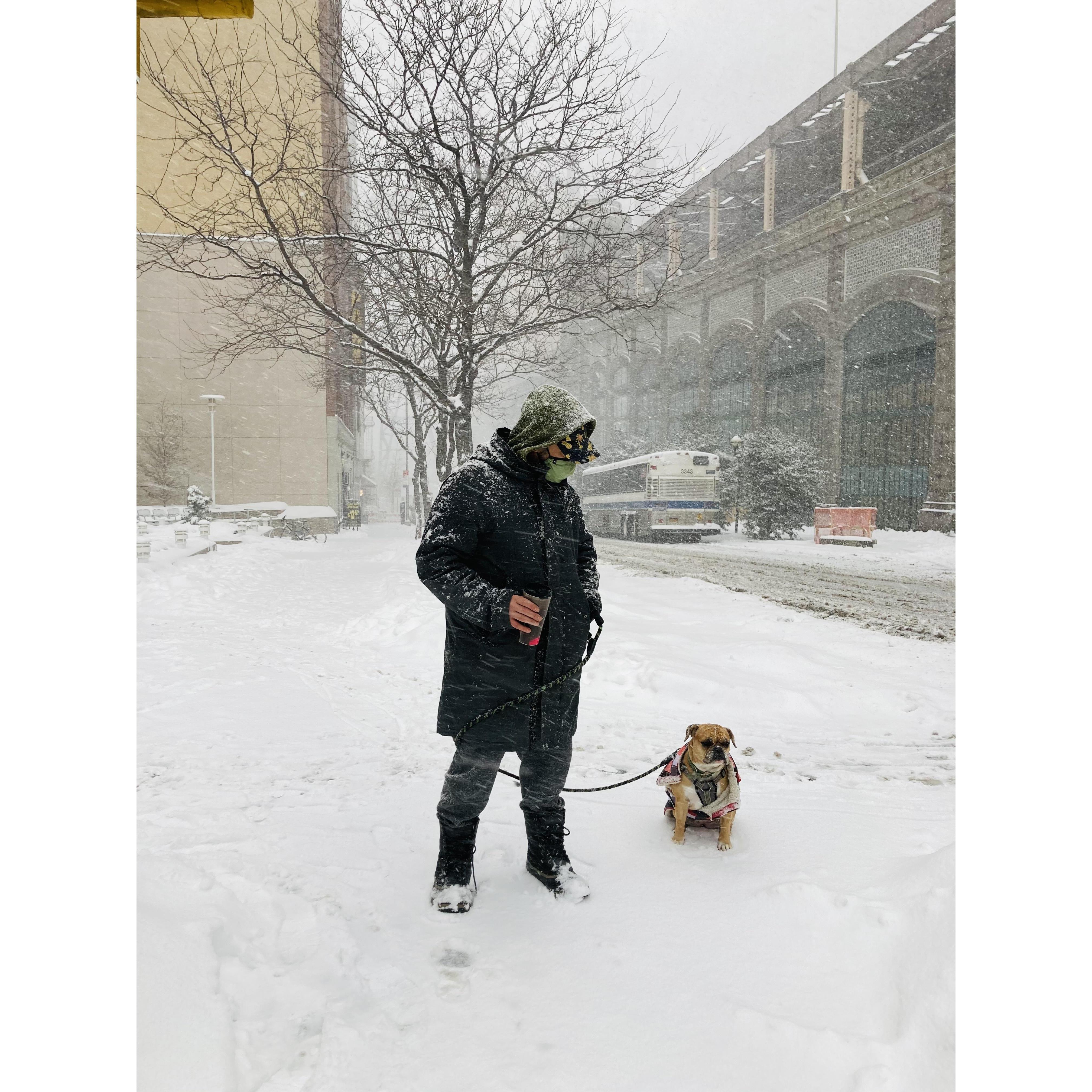 Not really a snow dog❄️