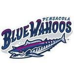 Blue Wahoo Stadium
