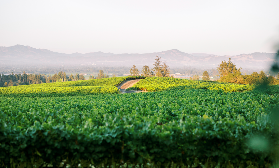 The Wedding Website of Maggie Donnelly and Patrick Fredrick