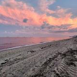 Loggerhead Park