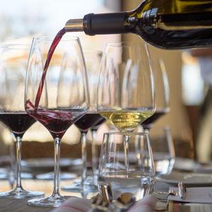Wine Tastings in New Zealand