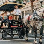 Old South Carriage Company