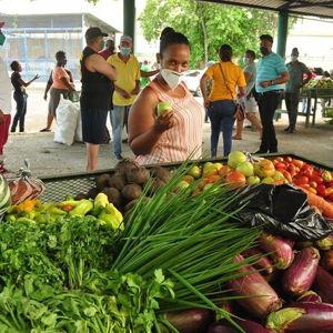 Higuey expedition cultural and historical tour