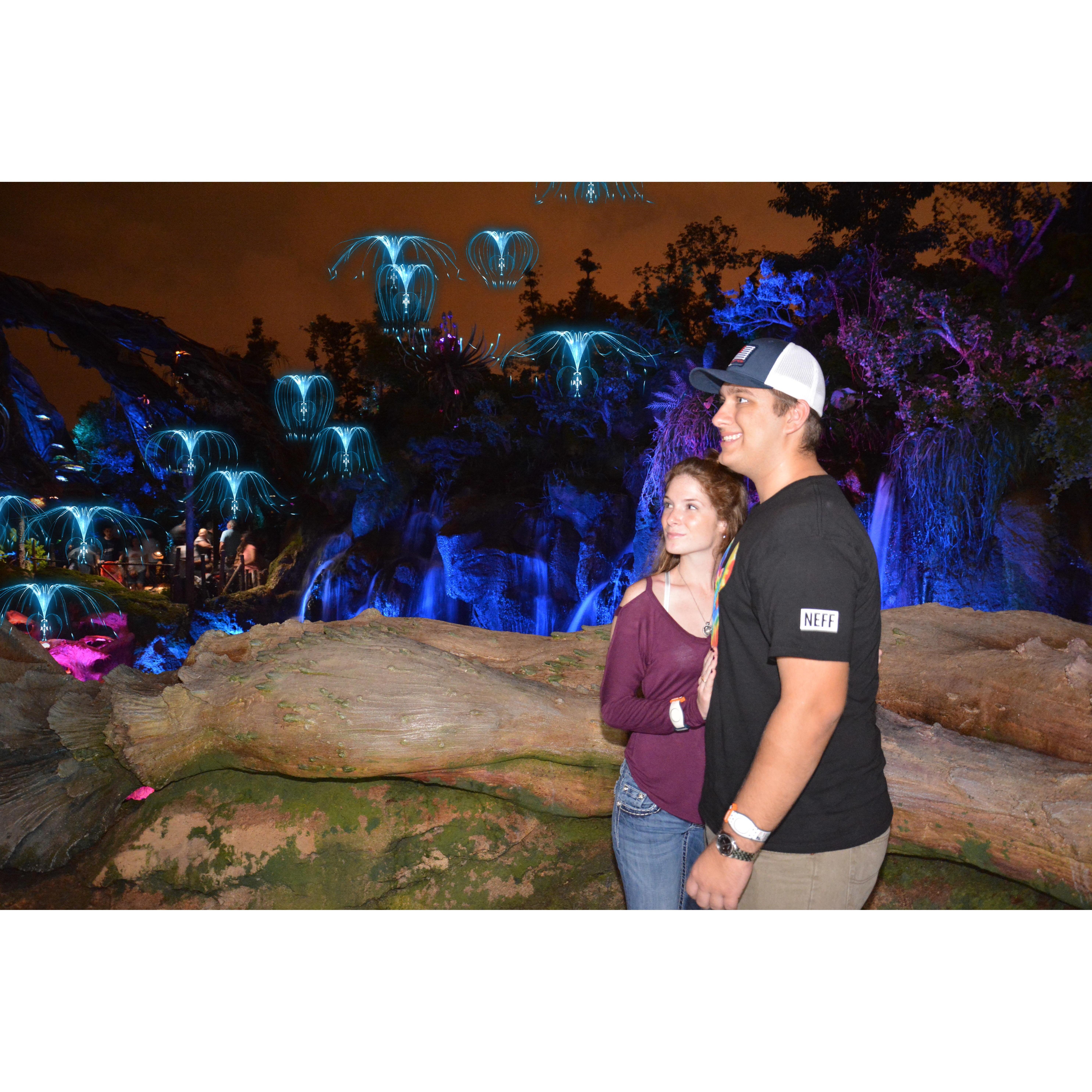 We skipped CF graduation this night to go to Disney and drink Starbucks together as we watched the Animal Kingdom tree light up for our first time.