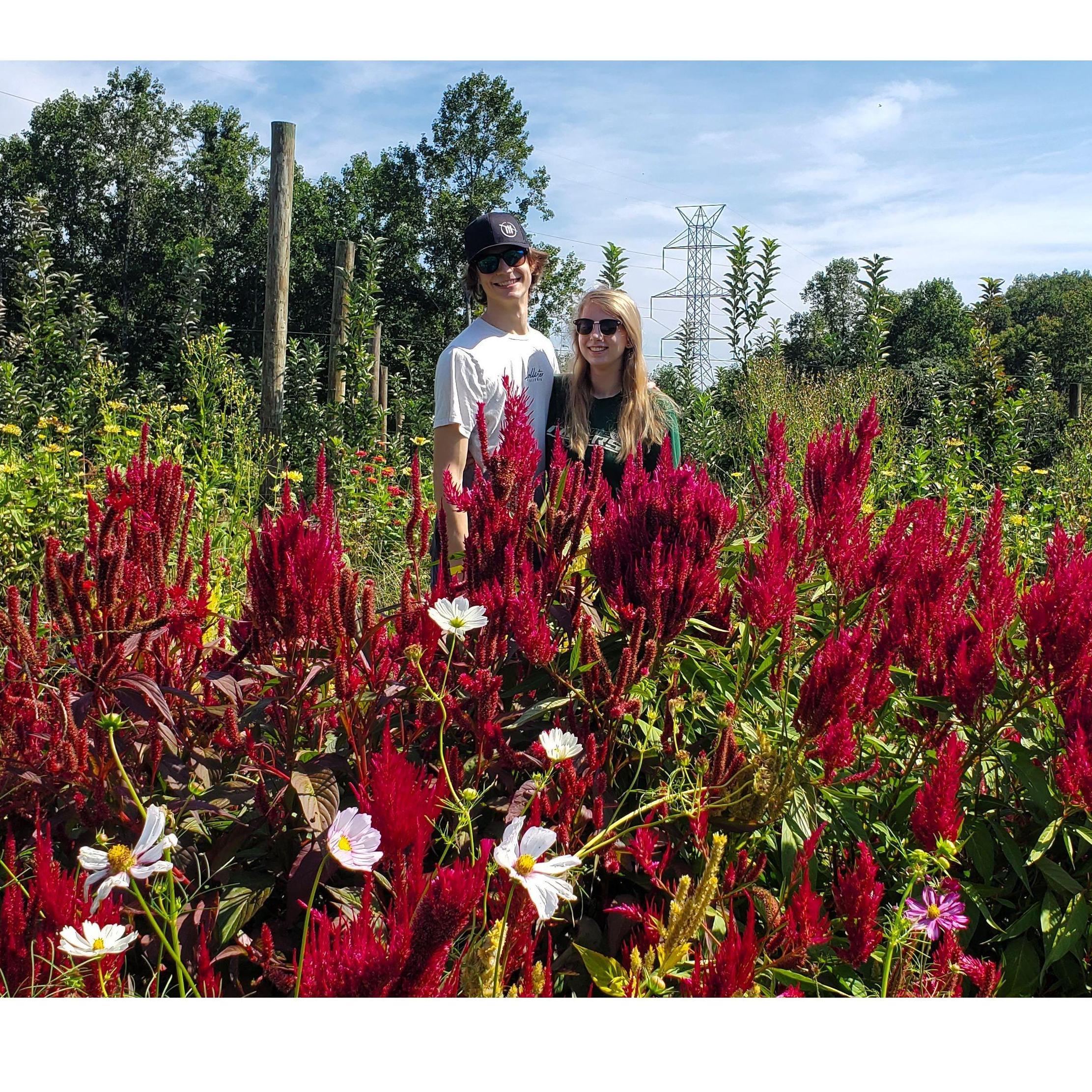 Apple picking and a visit to the flower gardens.