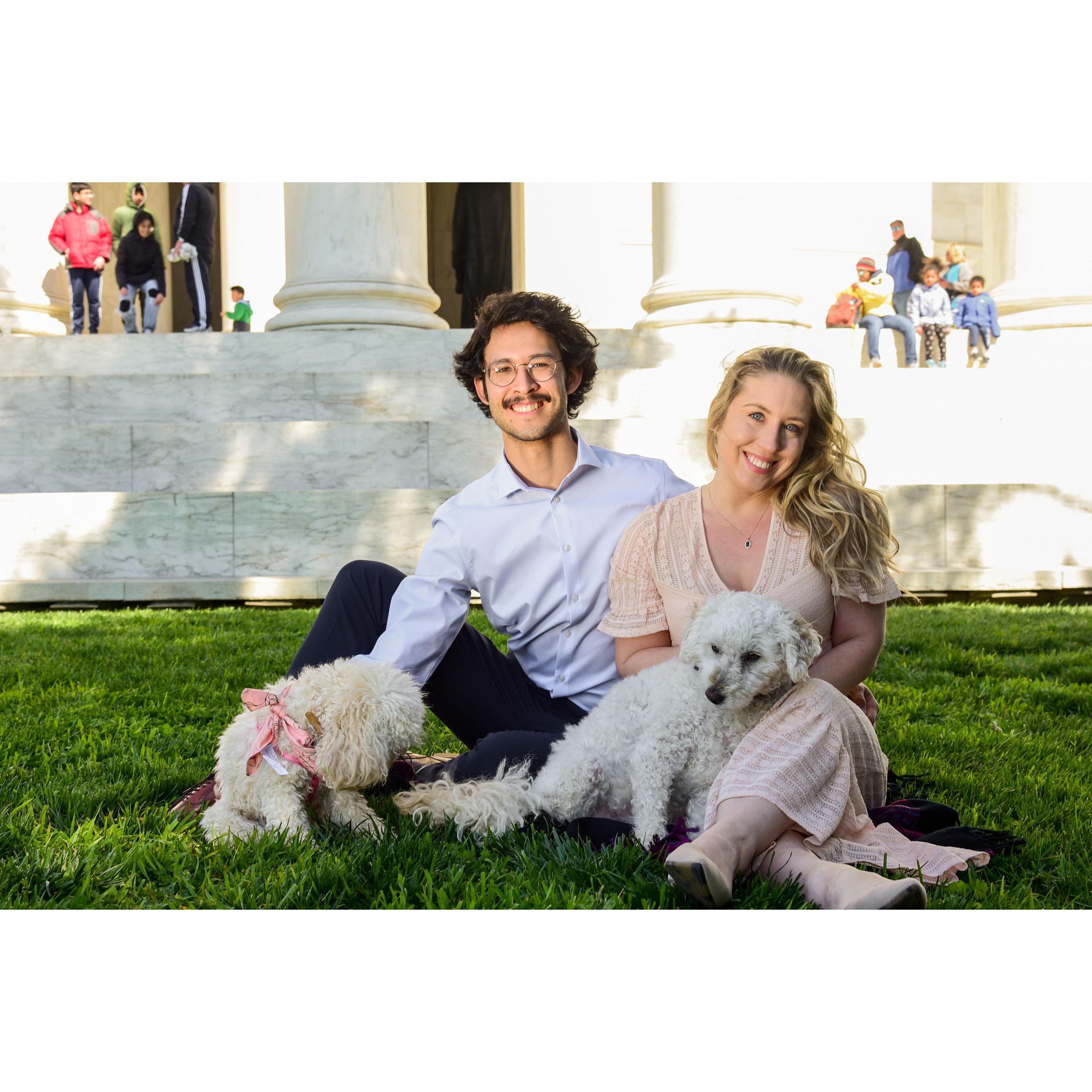 We love our dogs.