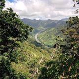 ʻAiea Loop Trailhead