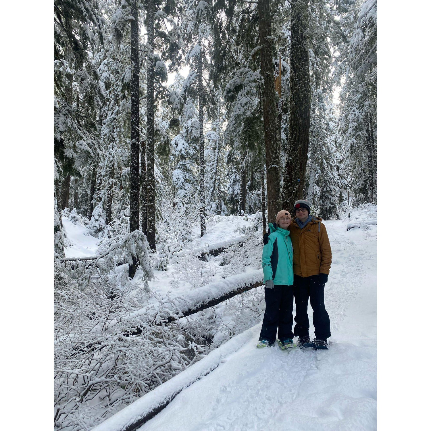 Snowshoeing around Government Camp area - Oregon - January 2025