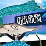 The Florida Aquarium