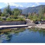Orvis Hot Springs
