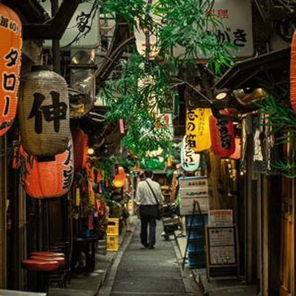 Newlywed Honeymoon (Japan!) fund