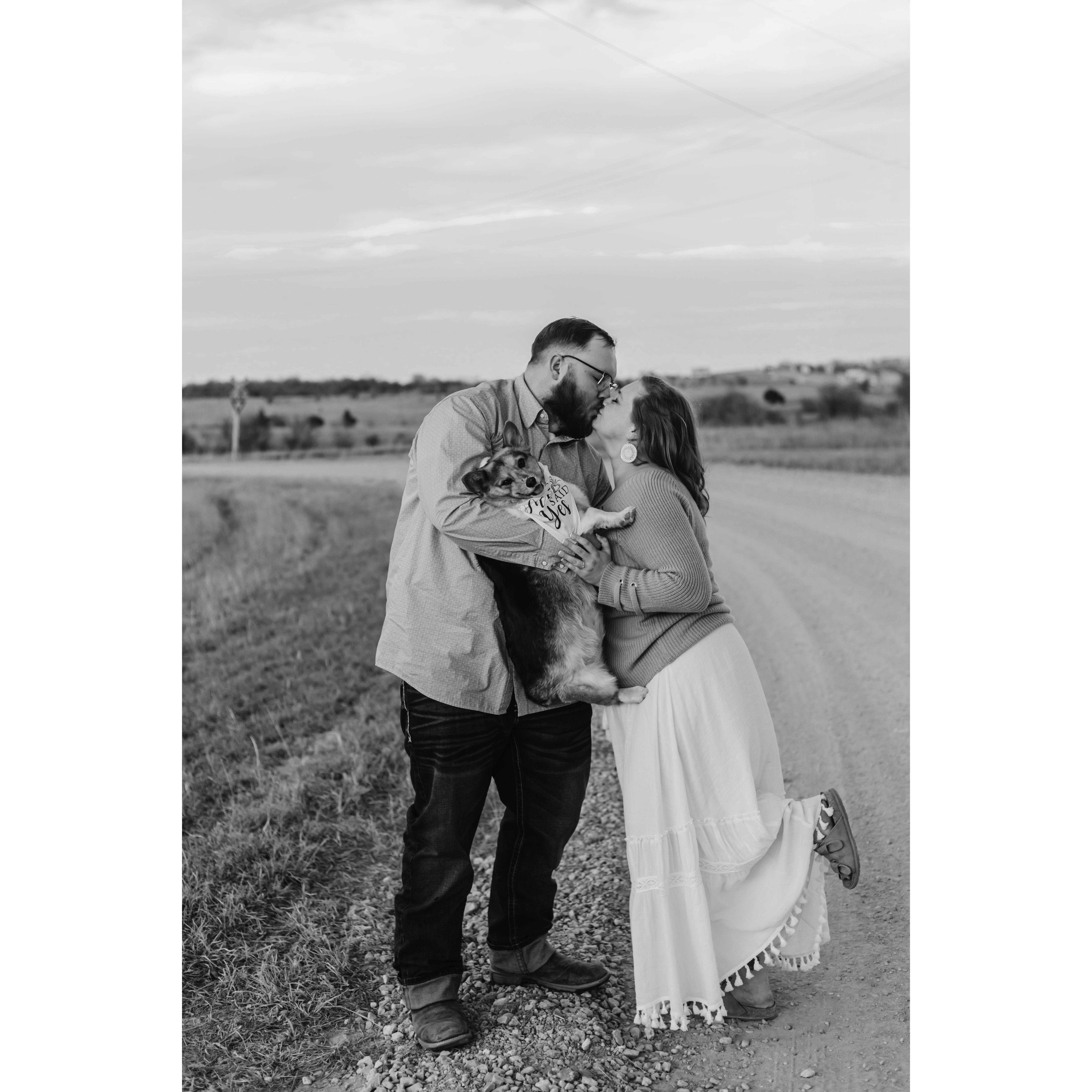 Of course we had to include Bonnie in our engagement photos :)
