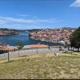 Jardim do Morro