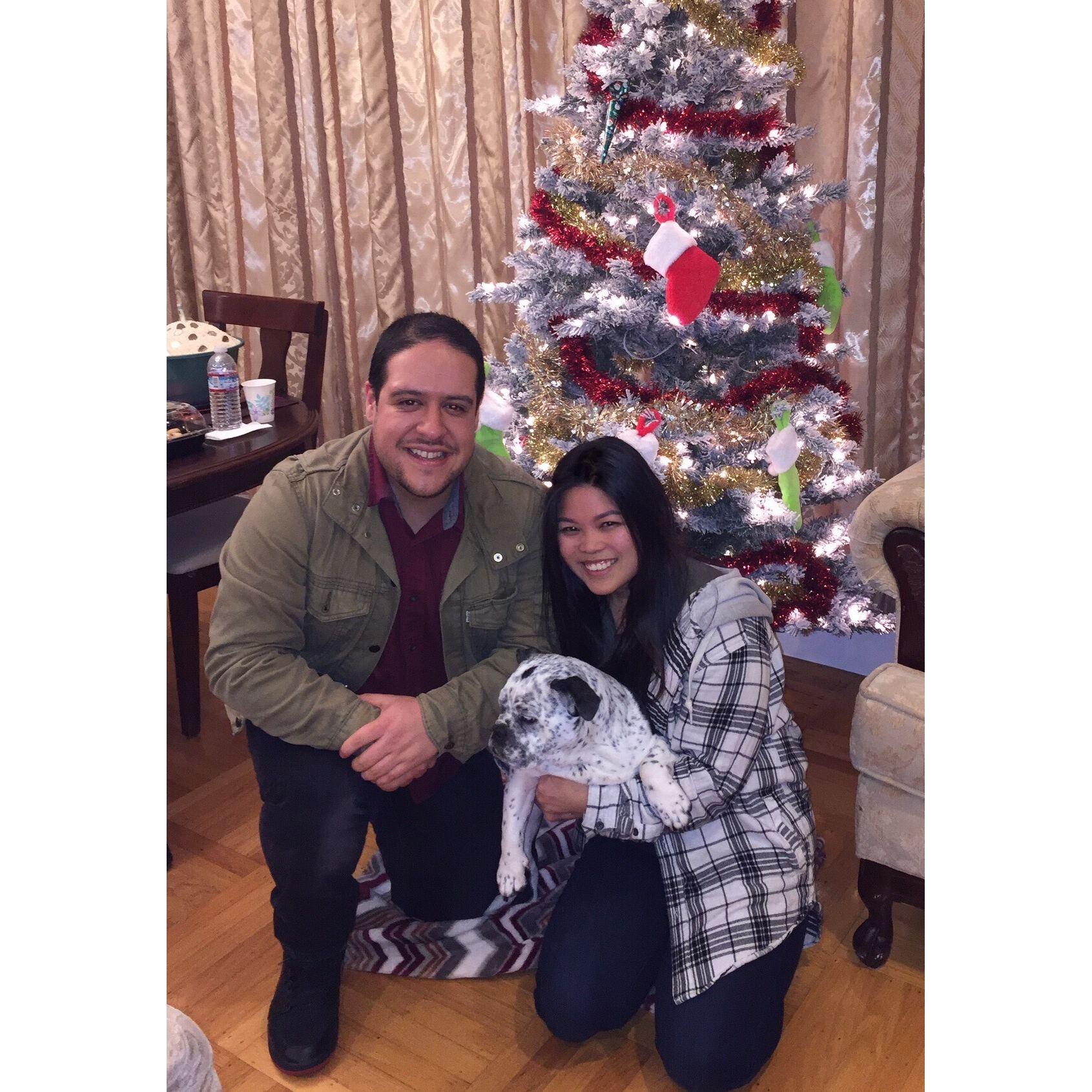 Our first Christmas/NYE with the little Mochi :) Circa 2019.
