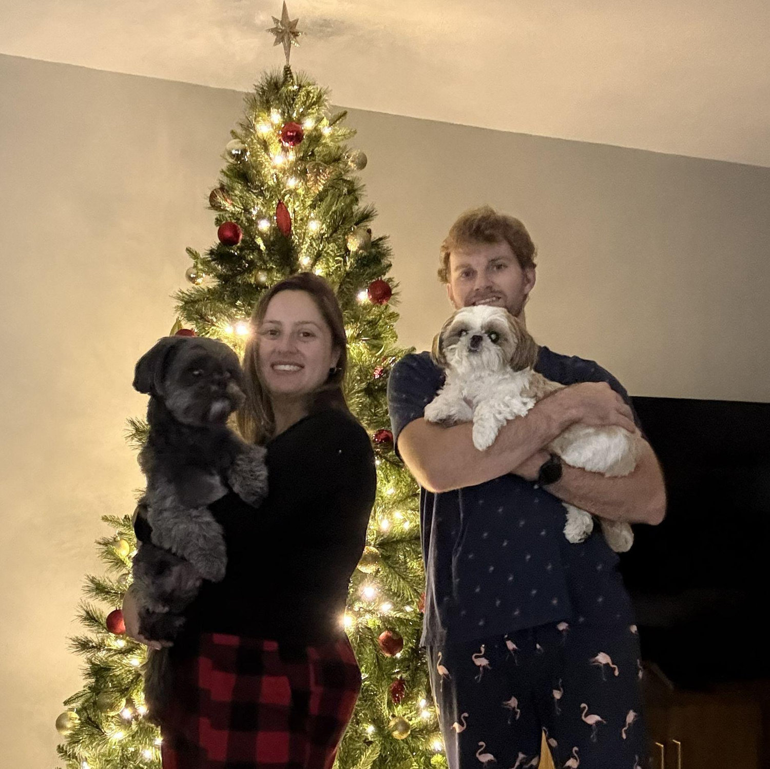 Our first Christmas tree!