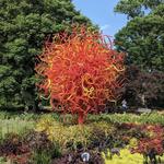Missouri Botanical Garden