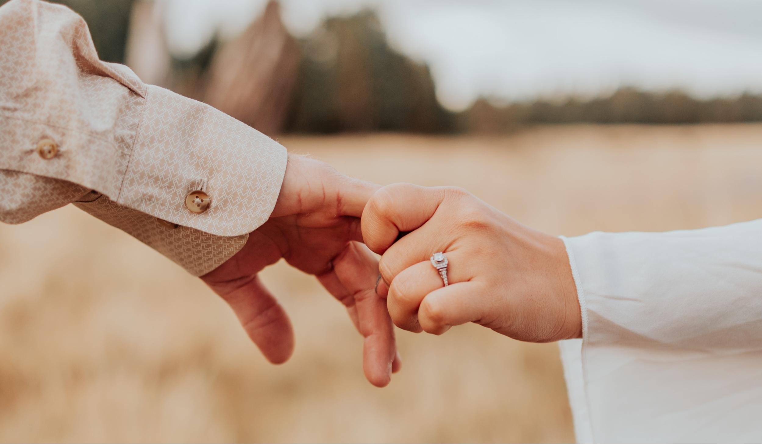 The Wedding Website of Anissa Barragan and Ryan Courtney
