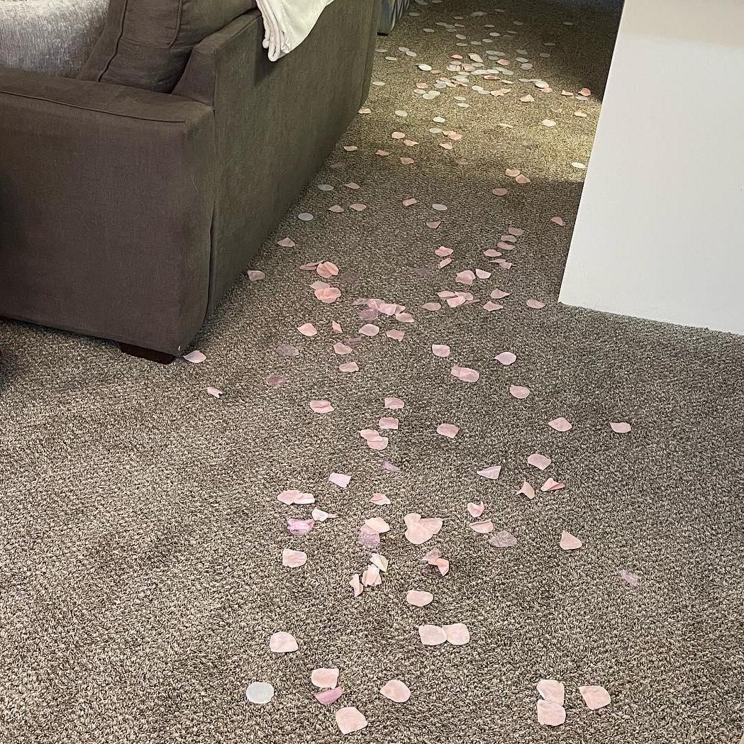 Flower petals scattered the walkways leading up to the setup....Or was that just what she leaves behind he when she walks?