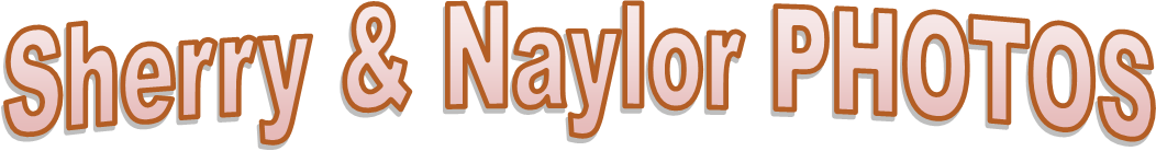 The Wedding Website of Sherry Cheek and Naylor Bowers