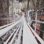 Wilderness Run Alpine Coaster