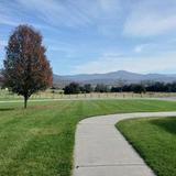 Castle Vineyards