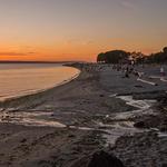 Golden Gardens