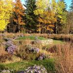 Mountain Top Arboretum