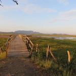 Parque Nacional Palo Verde