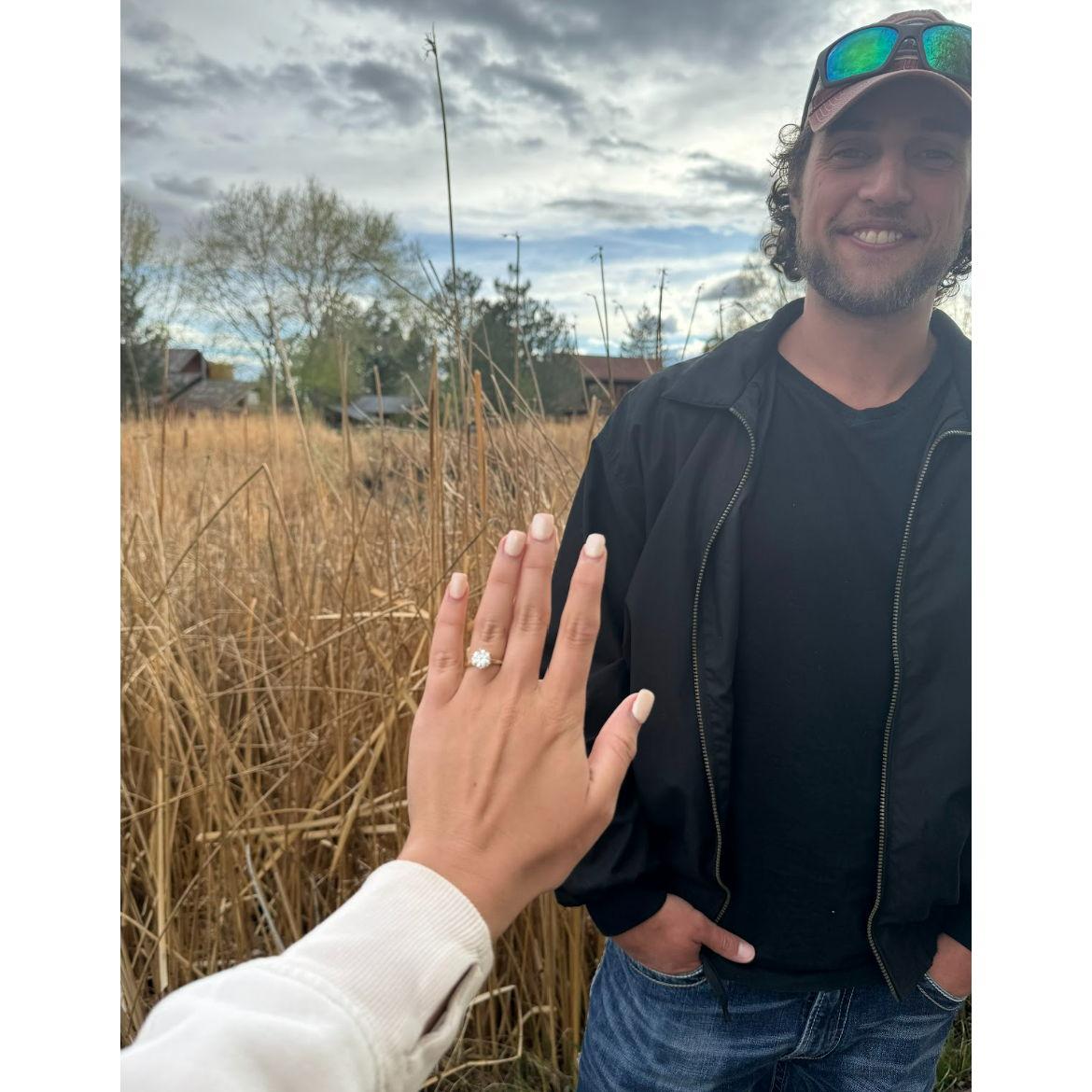 The Moment Harrison Proposed, April 27, 2024