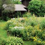 Stoneleigh: a natural garden