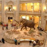 Smithsonian National Museum of Natural History