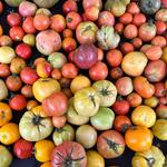 Ballard Farmers Market