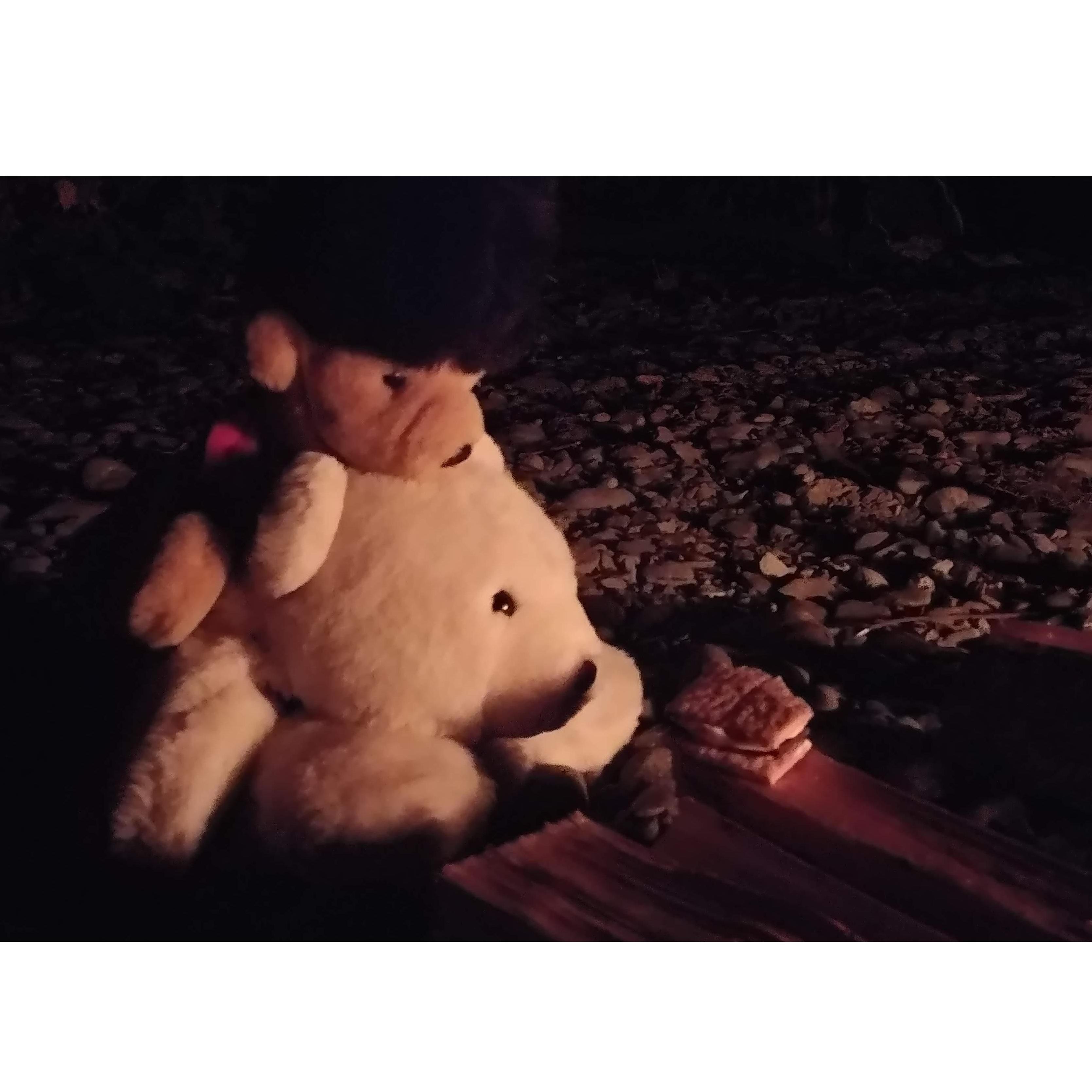 Smores with the kiddos. We finished the last chapters of the Harry Potter series that night. One of my favorite campfires of all time.
Yes. The bears are the kiddos.