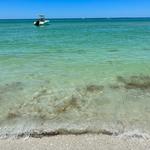 Beach Day! Fort Myers, Sanibel or Captiva
