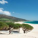Punta Paloma beach