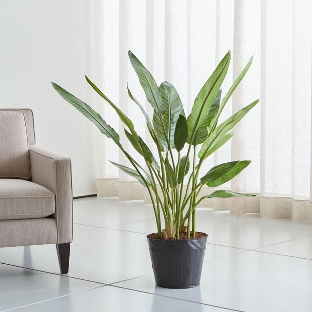 Artificial Bird of Paradise Tree