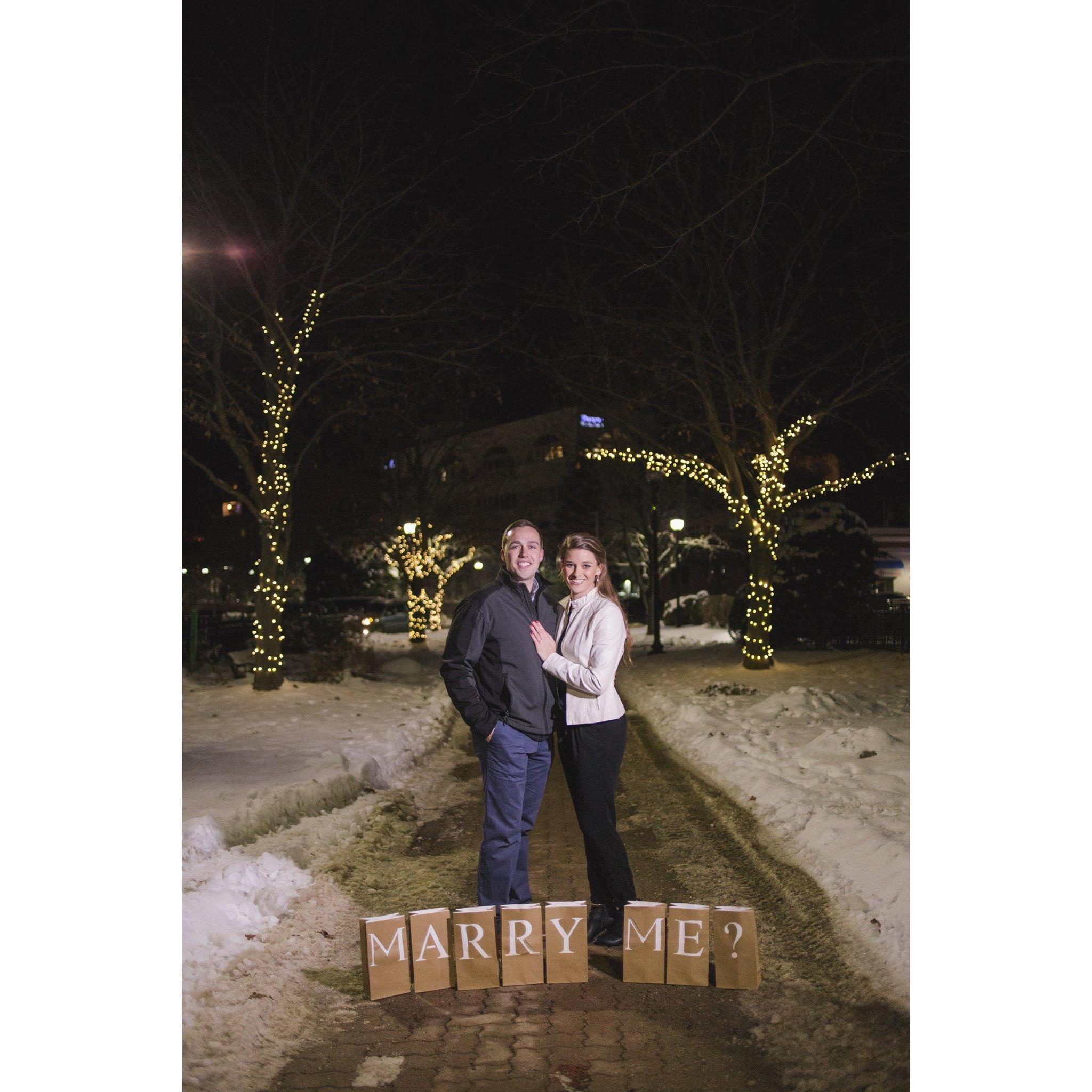 The Proposal