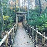Rassie Whicker Park