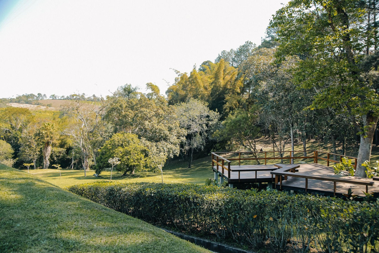 The Wedding Website of Lexi Vollero and Caio Laranjeira