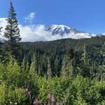 Mount Rainier National Park