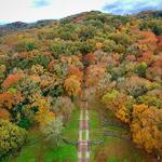 Percy Warner Park