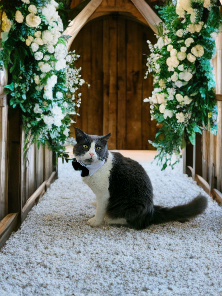 The Wedding Website of Maria Konstantinou and Andreas Keladis