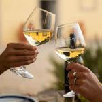 Vinci Wine Experience