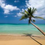 Las Terrenas