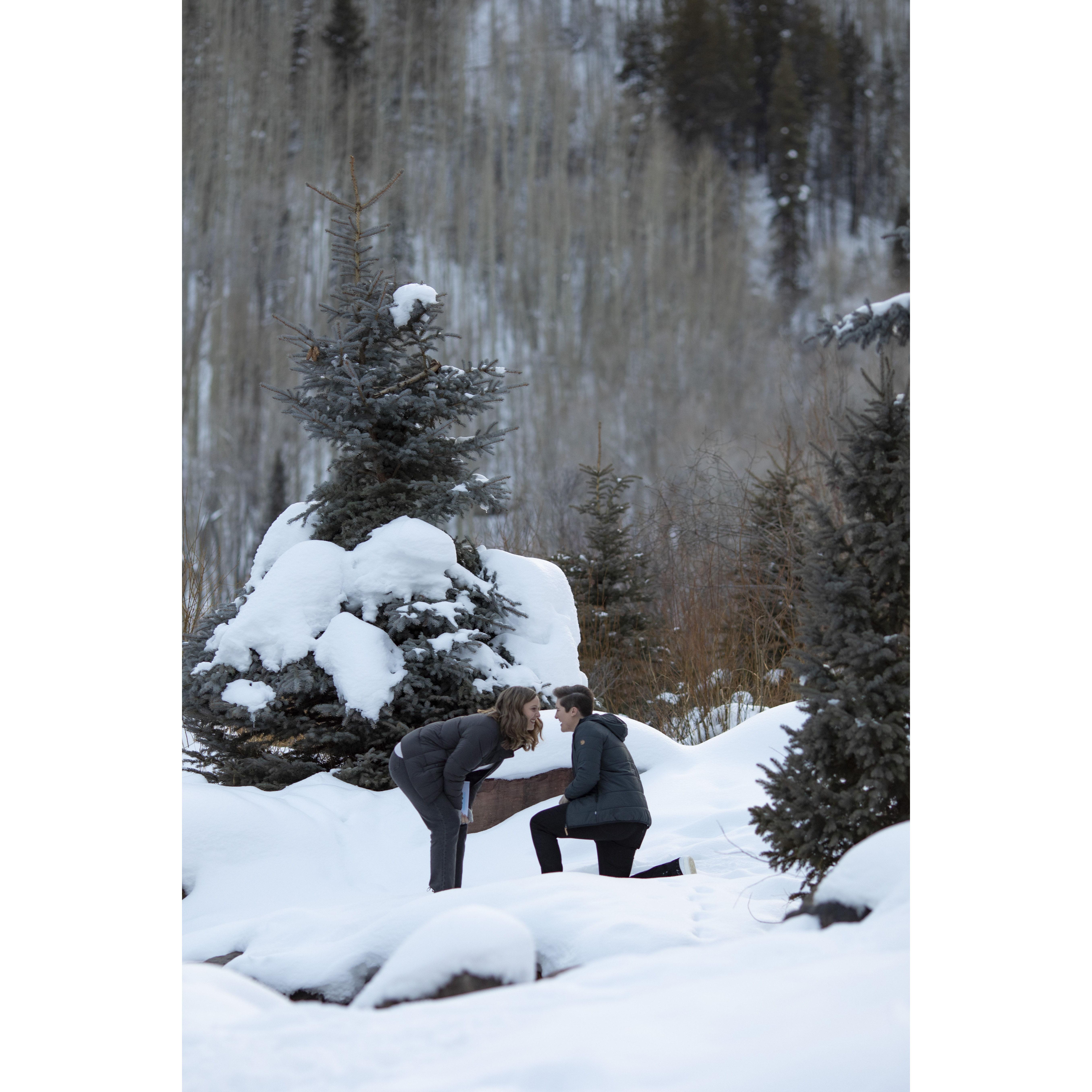 Our Proposal in Telluride, CO