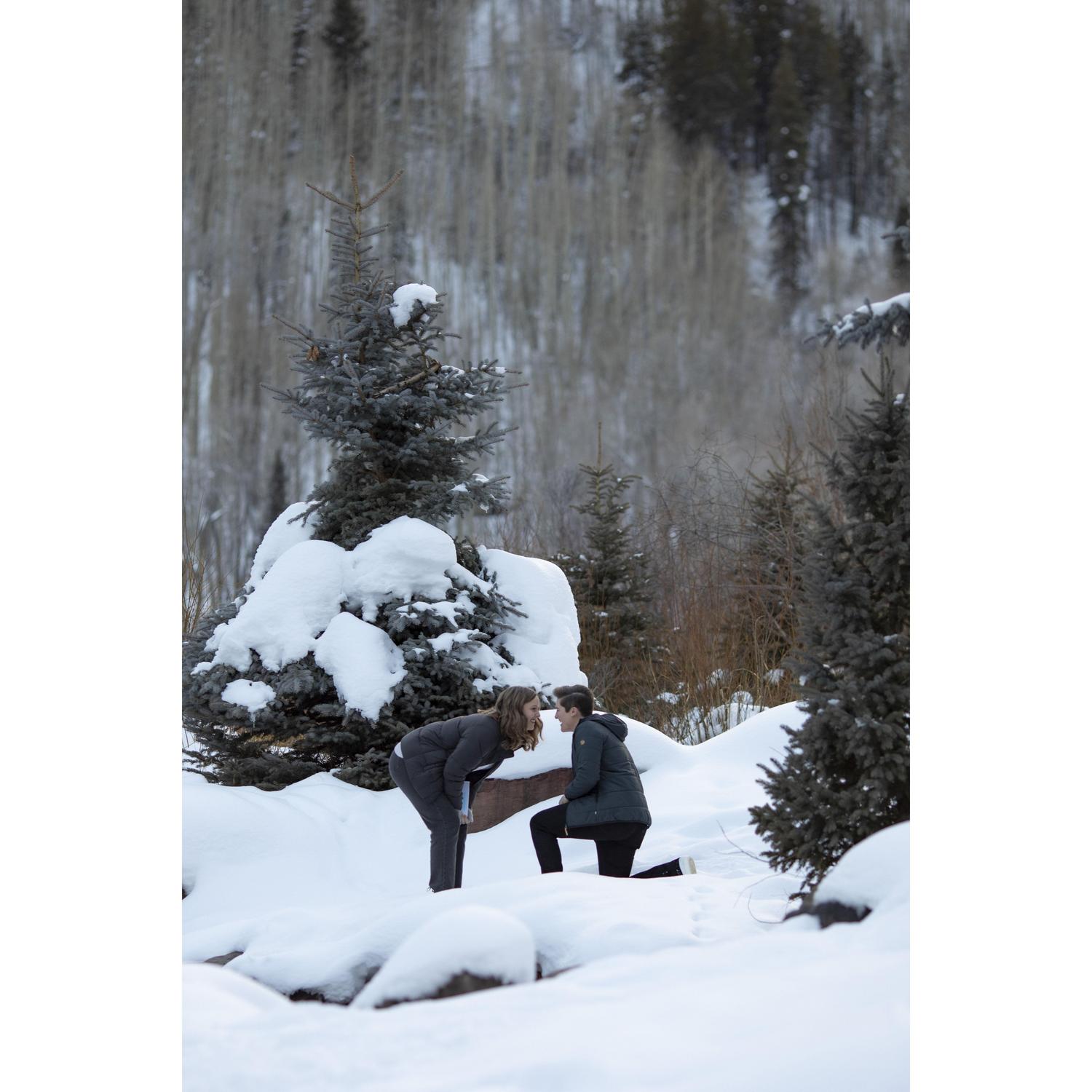 Our Proposal in Telluride, CO