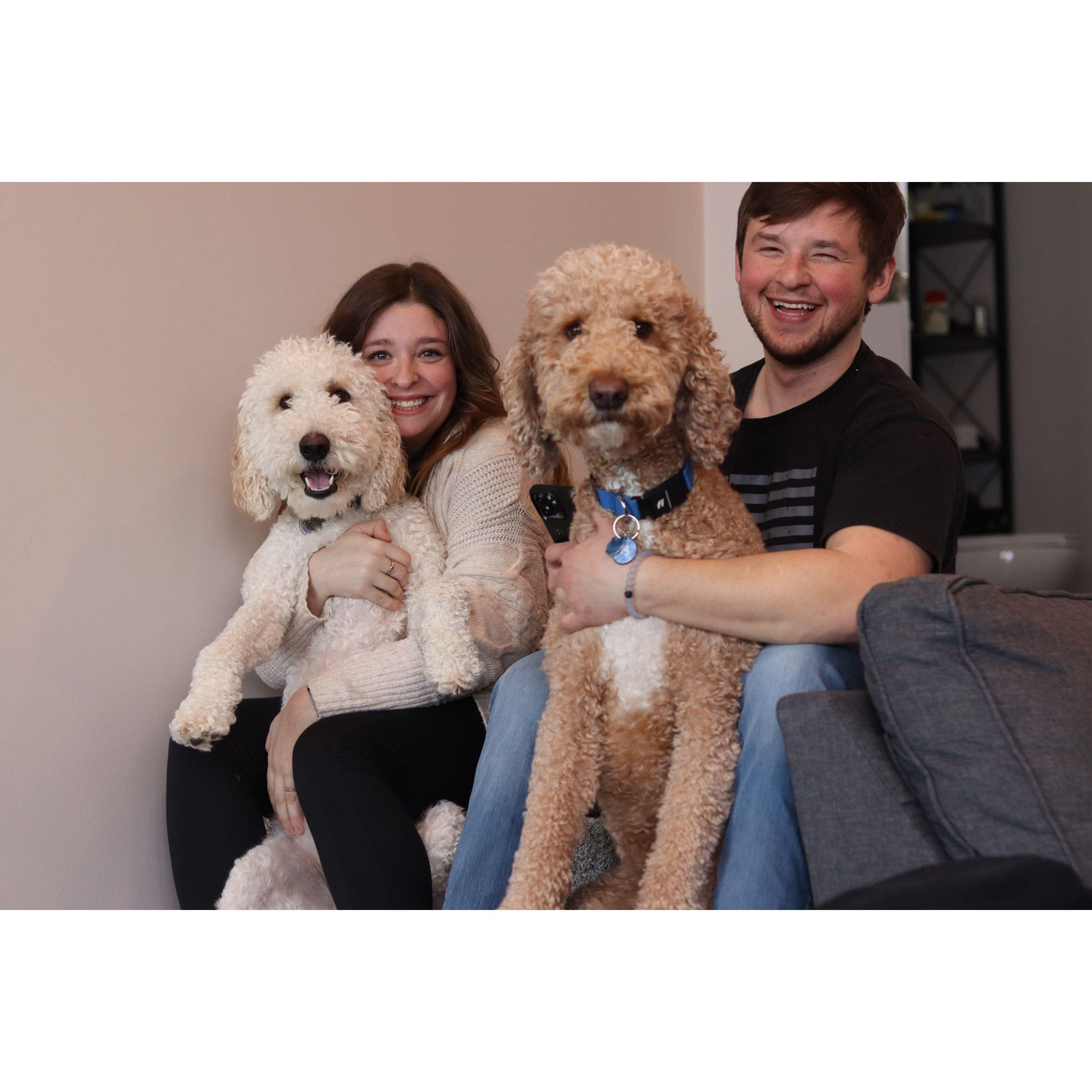Jake and Marin have two doodles Finn (Brown) & Rosie (White)